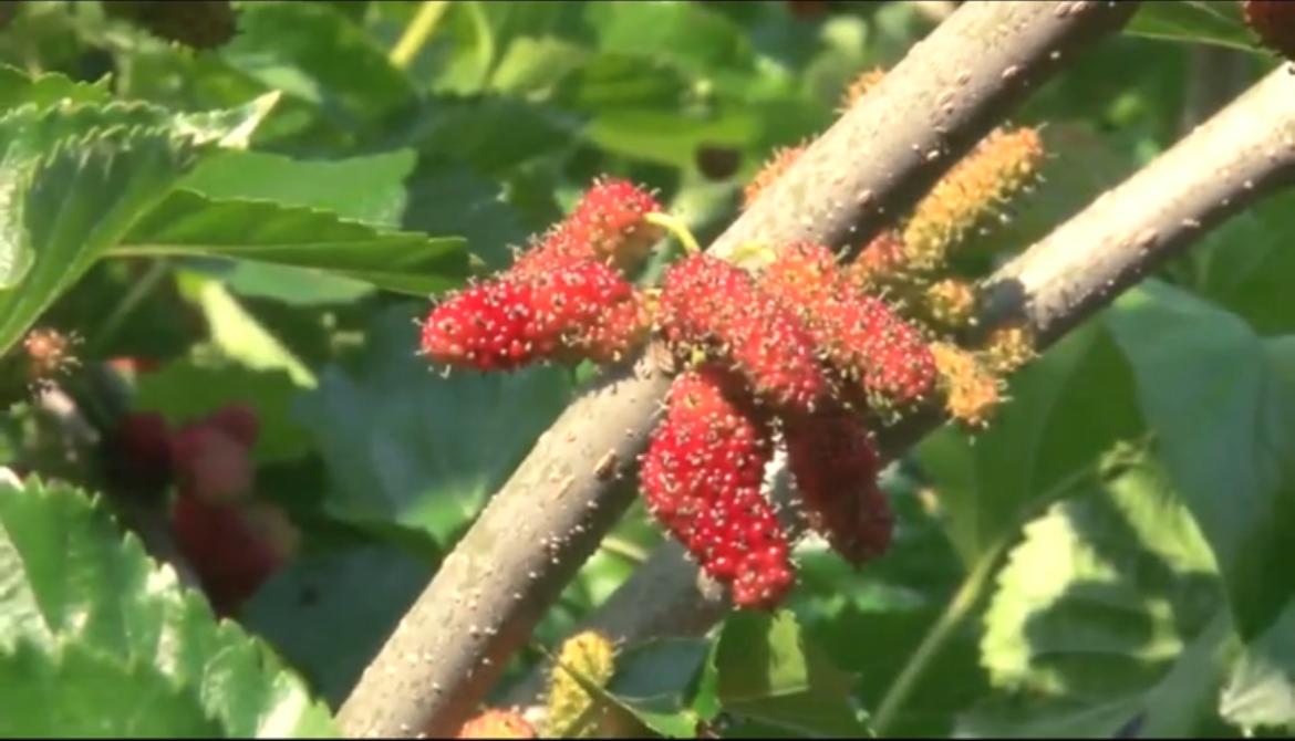 微信圖片_20220719141916